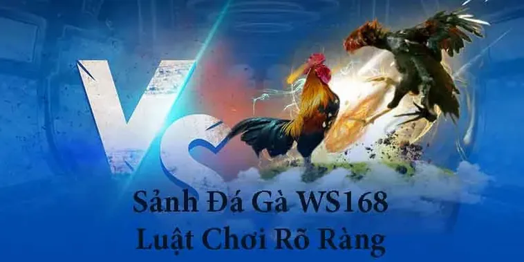 Bí Quyết Chơi Đá Gà WS168 Tại 98Win Luôn Thắng Từ Cao Thủ