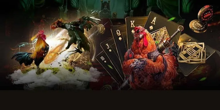 Hướng Dẫn Cách Chơi Đá Gà GA28 Tại 98Win Cho Người Mới