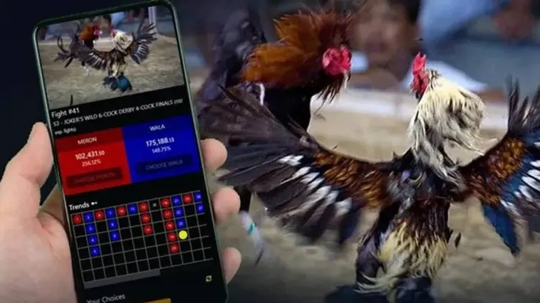 Sàn Đấu Kịch Tính Đá Gà 98Win Nơi Hội Tụ Những Kê Thủ Hàng Đầu 1 Sàn Đấu Kịch Tính Đá Gà 98Win Nơi Hội Tụ Những Kê Thủ Hàng Đầu